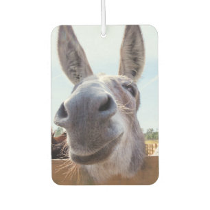 Smiling Donkey Luchtverfrisser