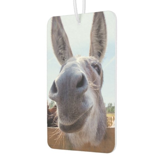 Smiling Donkey Luchtverfrisser (Links)