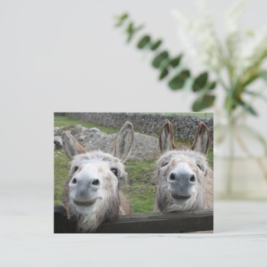 Smiling Donkeys! Briefkaart (Staand voorkant)