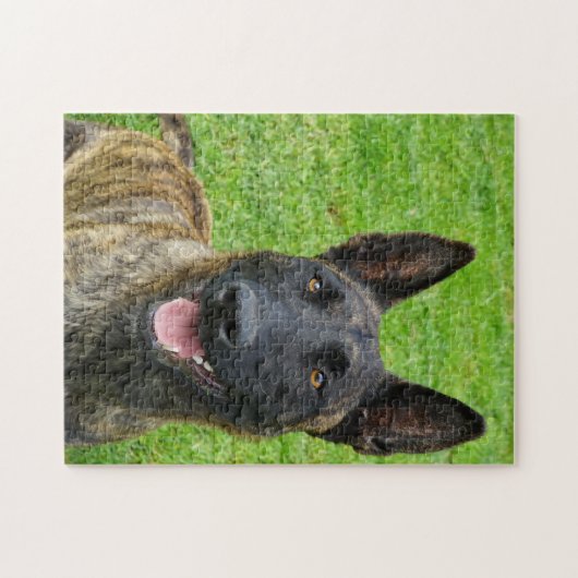 Smiling Dutch Shepherd Portrait Legpuzzel (Horizontaal)
