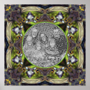 Smiling Frog Face Lijst Creëer Je eigen foto Poster