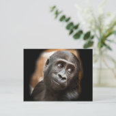Smiling Gorilla Baby Briefkaart (Staand voorkant)