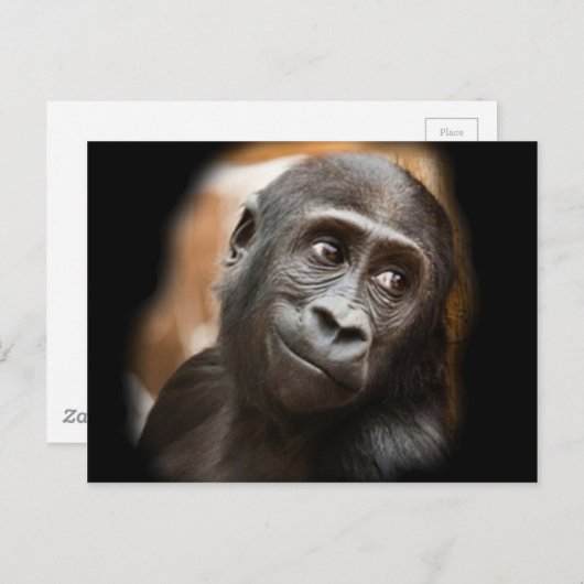 Smiling Gorilla Baby Briefkaart (Voorkant / Achterkant)