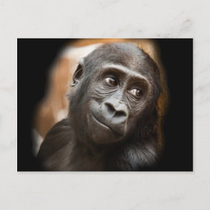 Smiling Gorilla Baby Briefkaart
