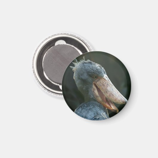 Smiling Shoebill Magneet (Voorkant / Achterkant)