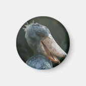 Smiling Shoebill Magneet (Voorkant)