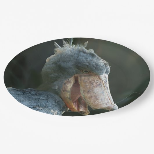 Smiling Shoebill Papieren Bordje (Gekanteld)