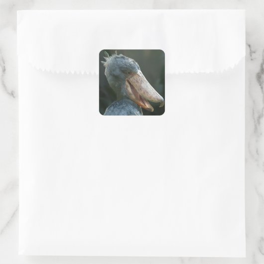 Smiling Shoebill Vierkante Sticker (Tas)