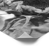 Smiling Sunflower Floral Black White Print (Hoek)