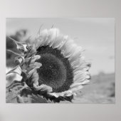 Smiling Sunflower Floral Black White Print (Voorkant)