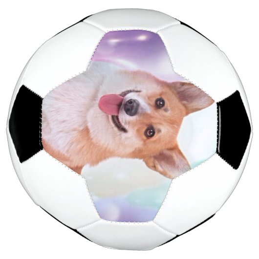 Smiling Welsh Corgi Voetbal (Gedraaid)