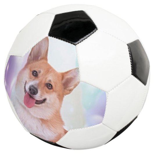 Smiling Welsh Corgi Voetbal (Drie kwart)