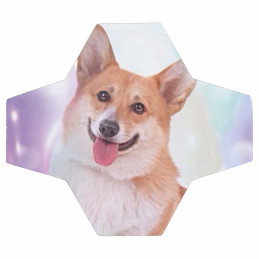 Smiling Welsh Corgi Voetbal (Enkel)