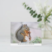 Smillen eekhoorn Eetsteenkloon Briefkaart (Staand voorkant)