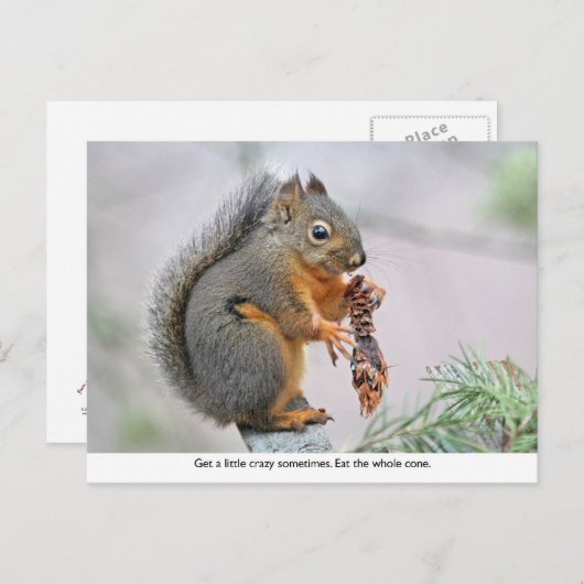 Smillen eekhoorn Eetsteenkloon Briefkaart (Voorkant / Achterkant)