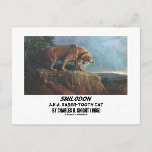 Smilodon (alias Saber-Tooth Cat) Knight (1905) Briefkaart