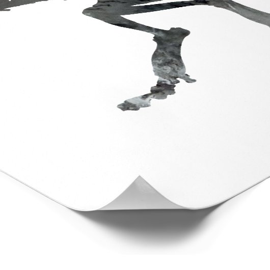 Smilodon skeleton poster (Hoek)