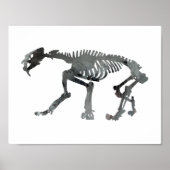 Smilodon skeleton poster (Voorkant)