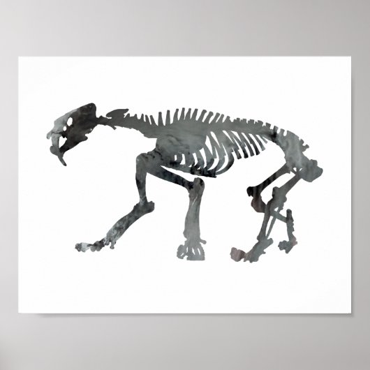 Smilodon skeleton poster (Voorkant)
