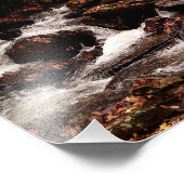 Smith Creek Foto Afdruk (Hoek)