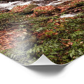 Smith Creek Foto Afdruk (Hoek)