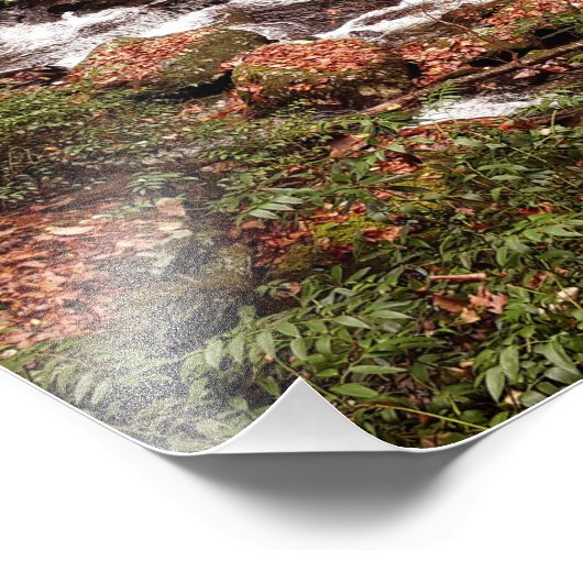 Smith Creek Foto Afdruk (Hoek)