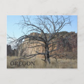 Smith Rock Rocks Briefkaart (Voorkant)