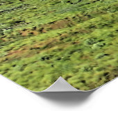 Smith Rock State Park, Oregon Poster (Hoek)