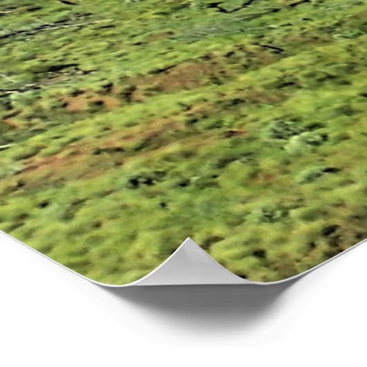 Smith Rock State Park, Oregon Poster (Hoek)