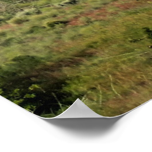 Smith Rock State Park Poster (Hoek)