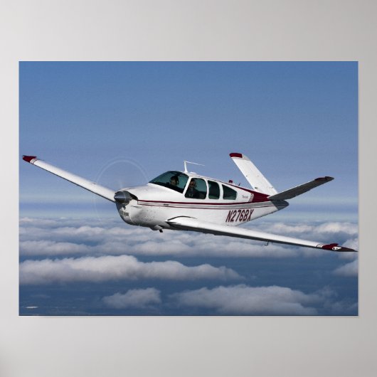 Smith's V Tail Poster (Voorkant)