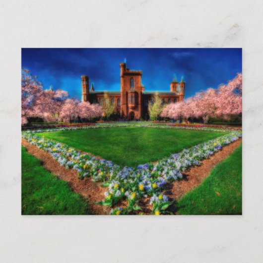 Smithsonian Castle Garden Cherry Blossom Briefkaart (Voorkant)
