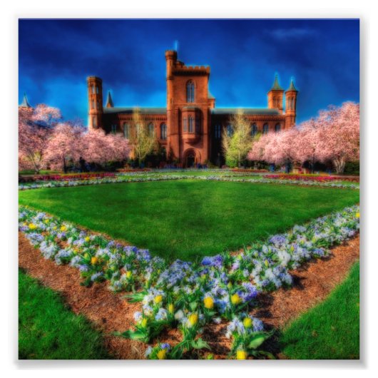 Smithsonian Castle Garden Cherry Blossom Foto Afdruk (Voorkant)