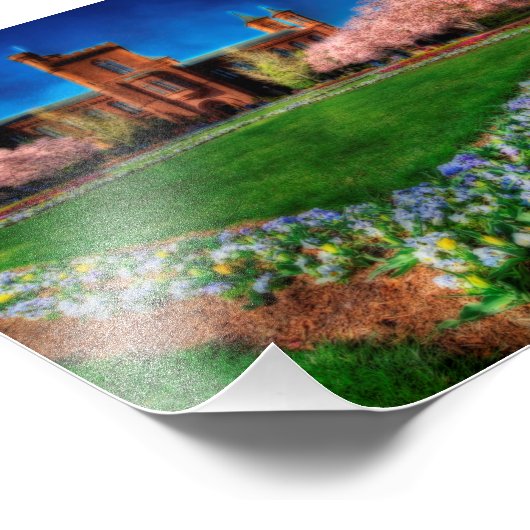 Smithsonian Castle Garden Cherry Blossom Foto Afdruk (Hoek)