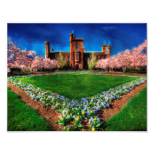 Smithsonian Castle Garden Cherry Blossom Foto Afdruk