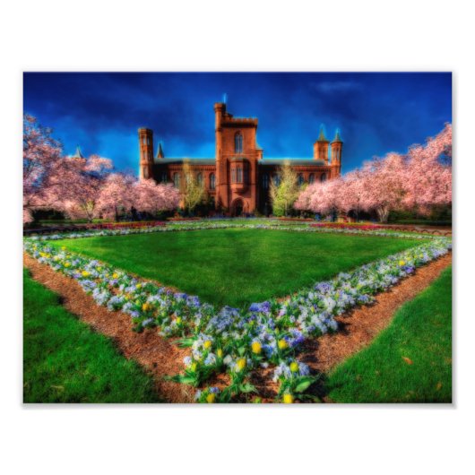 Smithsonian Castle Garden Cherry Blossom Foto Afdruk (Voorkant)