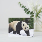 Smithsonian | Kreuzenpannen in de sneeuw Briefkaart (Staand voorkant)