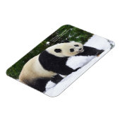 Smithsonian | Kreuzenpannen in de sneeuw Magneet (Linkerzijde)