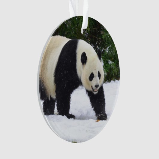 Smithsonian | Kreuzenpannen in de sneeuw Ornament (voorkant)