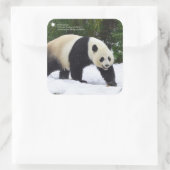 Smithsonian | Kreuzenpannen in de sneeuw Vierkante Sticker (Tas)