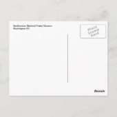 Smithsonian National Postal Museum DC Briefkaart (Achterkant)