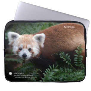 Smithsonian   Red Panda Laptop Sleeve