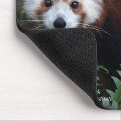Smithsonian | Red Panda Muismat (Hoek)