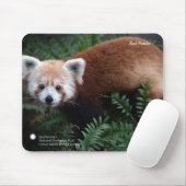Smithsonian | Red Panda Muismat (Met muis)