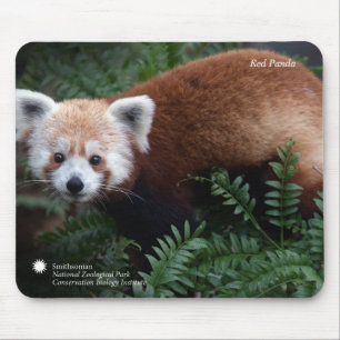 Smithsonian Red Panda Muismat