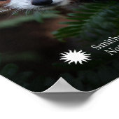 Smithsonian | Red Panda Poster (Hoek)