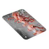 Smithsonian | Sneeuwvliezen Magneet (Rechterzijde)