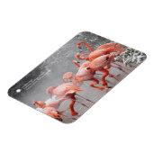 Smithsonian | Sneeuwvliezen Magneet (Linkerzijde)