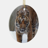 Smithsonian | Sumatran Tiger Damai Keramisch Ornament (Rechts)