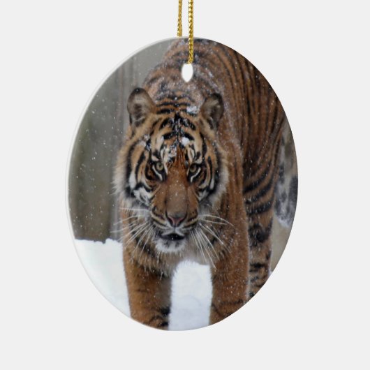 Smithsonian | Sumatran Tiger Damai Keramisch Ornament (Rechts)